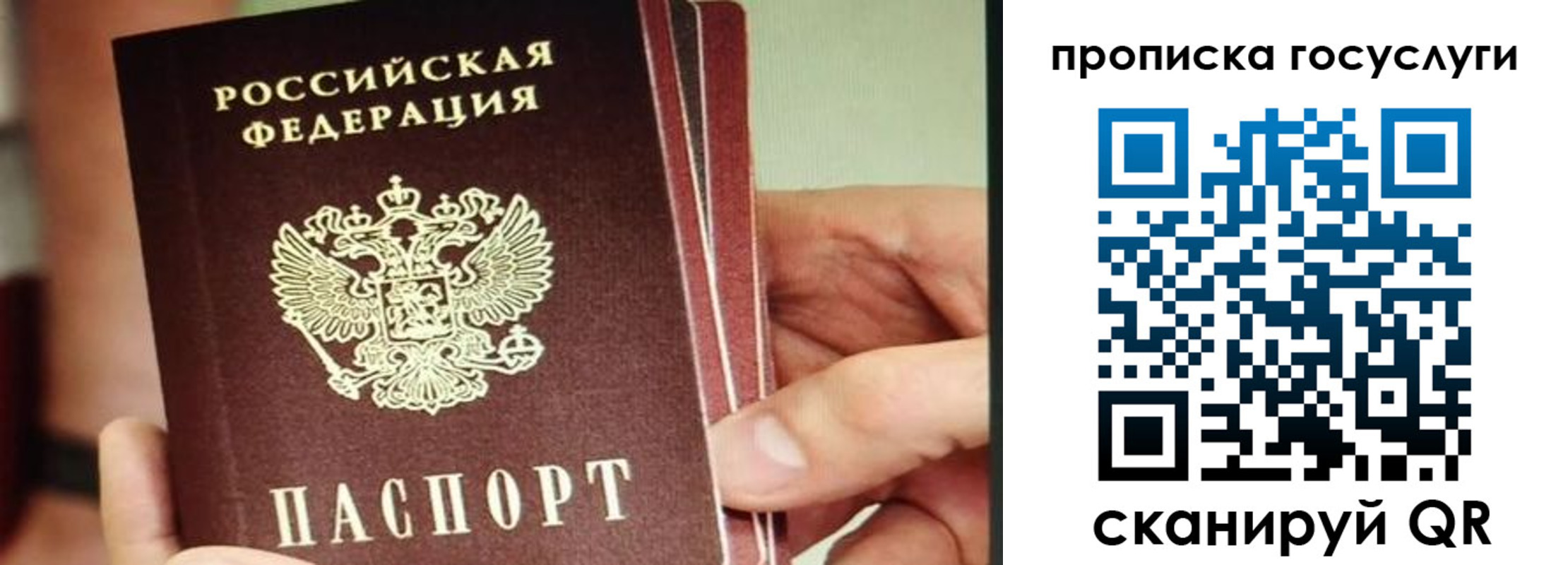 пропишу в квартире в Чистополье